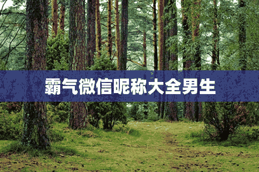 霸气微信昵称大全男生(霸气微信昵称大全男生两个字)